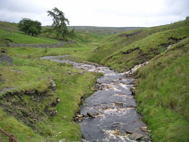 bc_westallenriver.jpg - Looking up stream from the bridge.
