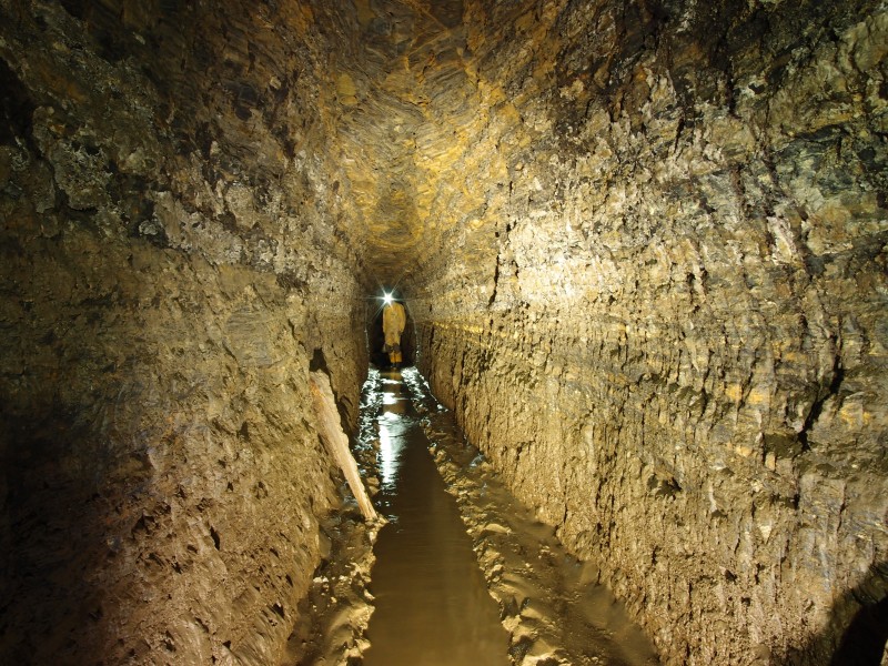 P7260360.JPG - Hand picked level.