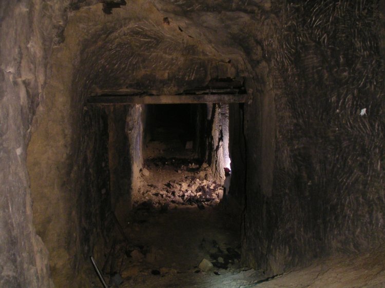 bfs_supportpassage3.jpg - Looking down the slope from the gate.