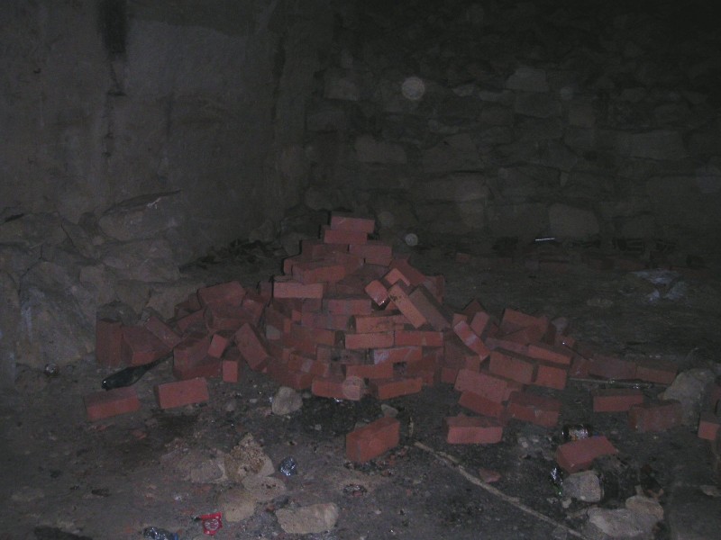 bfs_box17robots.jpg - Remains of the robots in Box 17. It looks like nanoprobes have infected them and they have started to spell out web addresses all over the chamber.