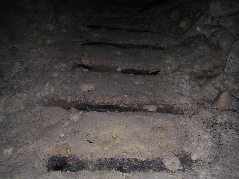 bfs_sleepers.jpg - In some parts the sleepers are still intact.