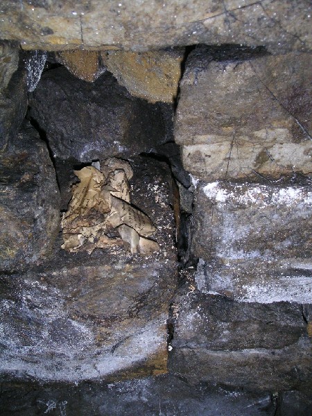 bs_deeplevel_dynamite.jpg - In one of the shelf's this stick of dynamite was found, it seemed to be wrapped up in some sort of instruction leaflet - whether this was part of its normal packaging or an extra we do not know as most of the sticks we have seen before never had specific instructions like this one.