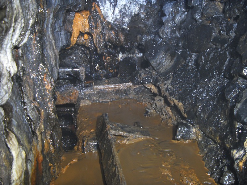 16_bs_wl_sump5.jpg - Looking out towards the shaft. The leat can be seen along with the silted up water course.