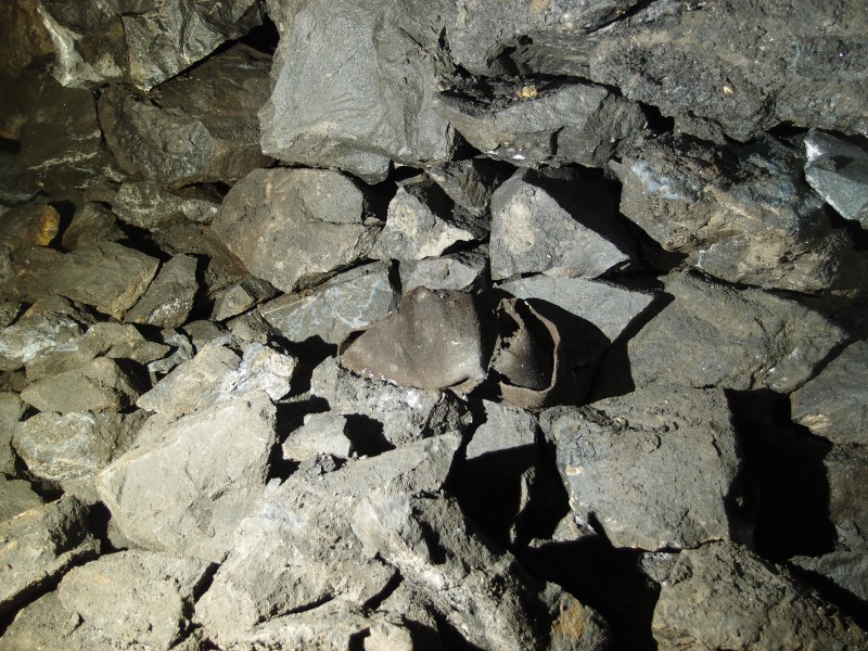 P3108380.JPG - I first I thought this was a clog, but it seems just to be some leather like material.