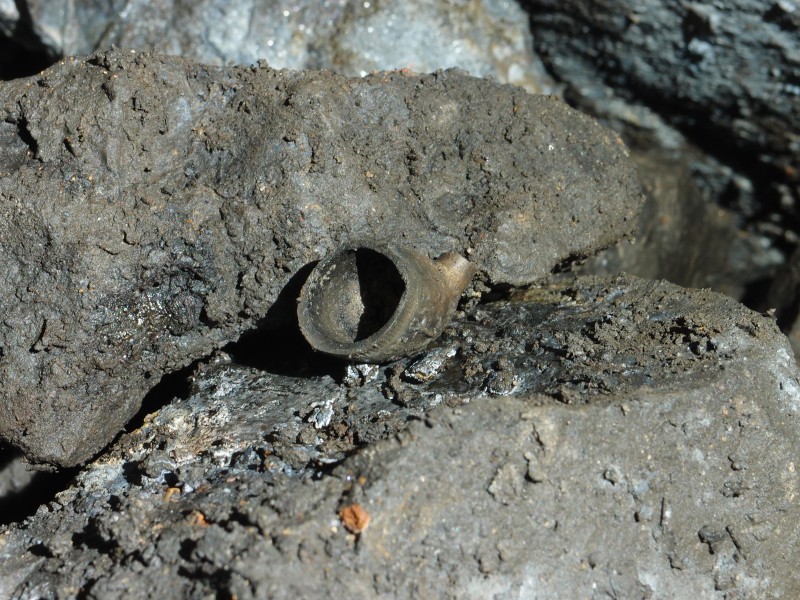 P3108388.JPG - Pipe bowl.