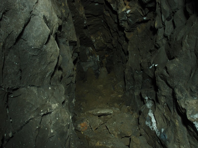 P3108405.JPG - North side of rise - forehead.