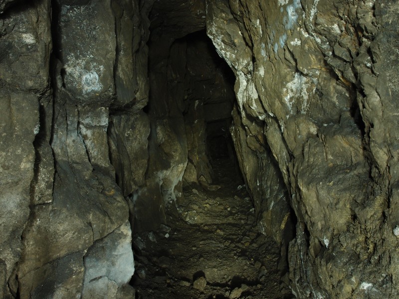 P3108413.JPG - North side of rise - along the level looking towards the rise.