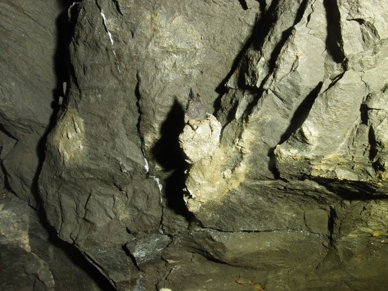P3012572.JPG - Tallow candle and clay in bait room.