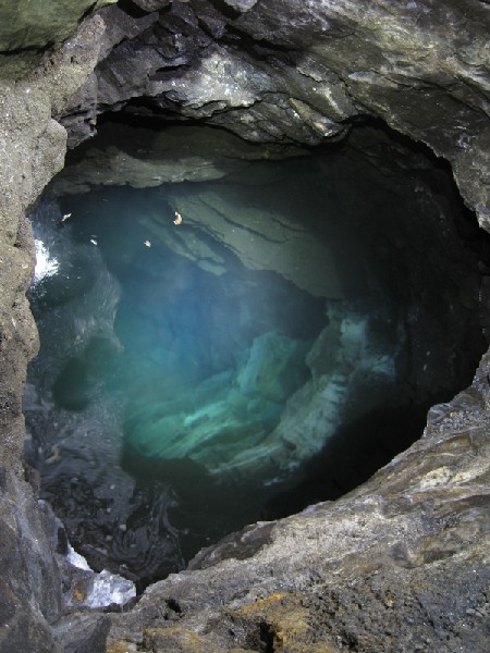 IMG_5237.JPG - Flooded sump, and the level that goes of part way down.