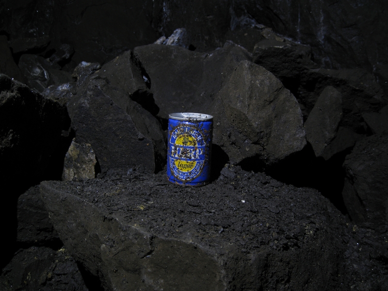 IMG_5254.JPG - Higher Flats, empty can of Harp larger, 1980's dumped rubbish, todays pseudo artefact?