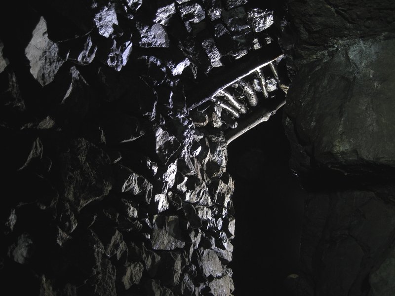 Img_5240.jpg - A more clearer view of the stemples and thin branches.