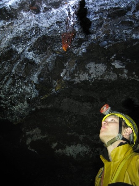 IMG_5769.JPG - Formation.