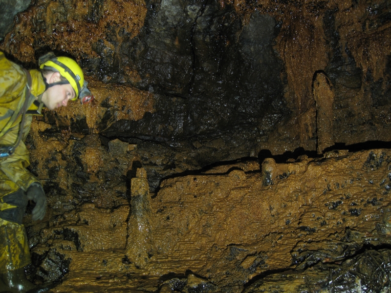 IMG_5833.JPG - Up in the High Level, down a short blind a display of orcheous formations.