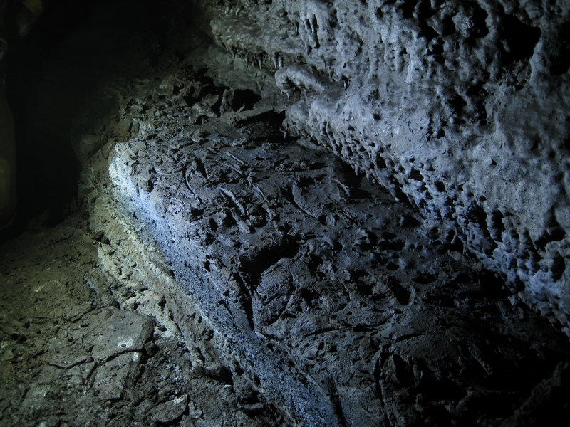 IMG_5849.JPG - Clog prints in the High Level.