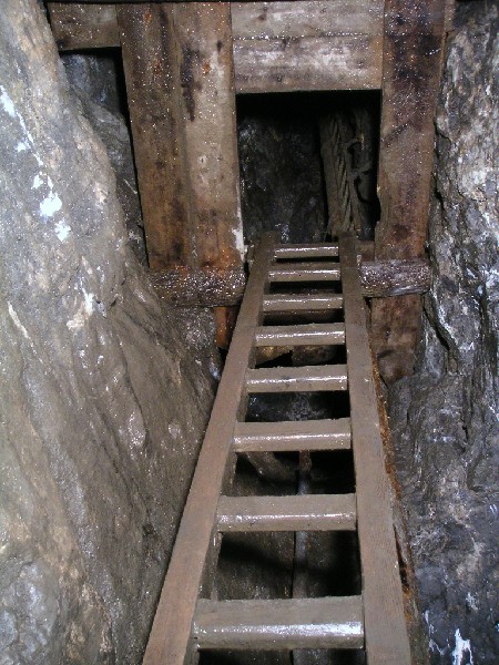 nbh_ladder_2_bh2.jpg - Looking up the ladder which leads back up to Brownley Hill from Hagg's.