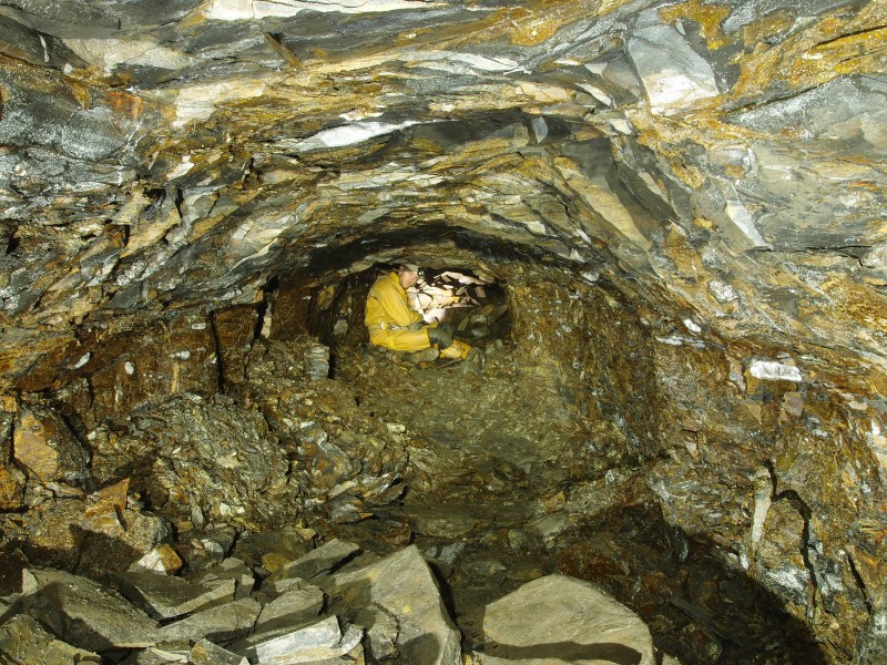 P1112202.JPG - Brownley Hill High Level, along the Brownley Hill Sun Vein.