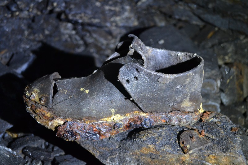 DSC_0032.JPG - Clog. Photo by Karli.