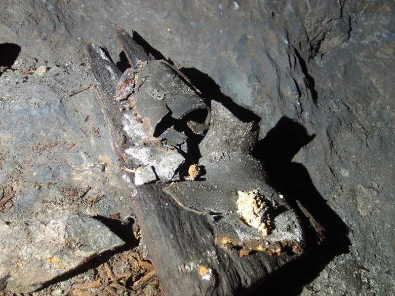 P8206584.JPG - Disintergrated clog.