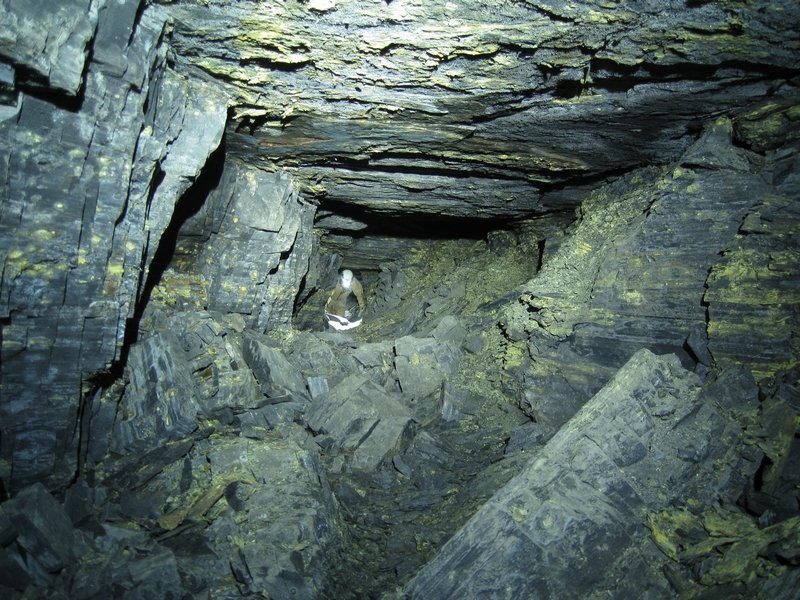 IMG_0002.JPG - The others coming to join me along the Brownley Hill West High Cross Vein.