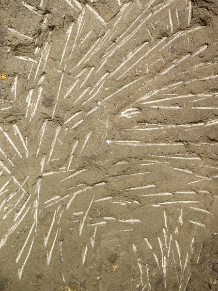 P4290380.JPG - These pick marks are in a level at the top of the Great Limestone, above J. Walton's Rise.