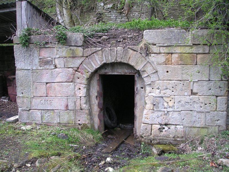 PICT6229.jpg - The Horse Level adit.