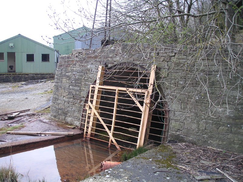 PICT6234.jpg - The Incline Level adit.