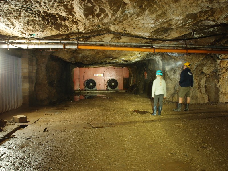 P8121404.JPG - Ventilation fans.