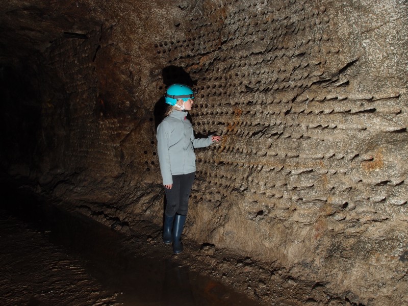 P8121411.JPG - Wall of test holes.