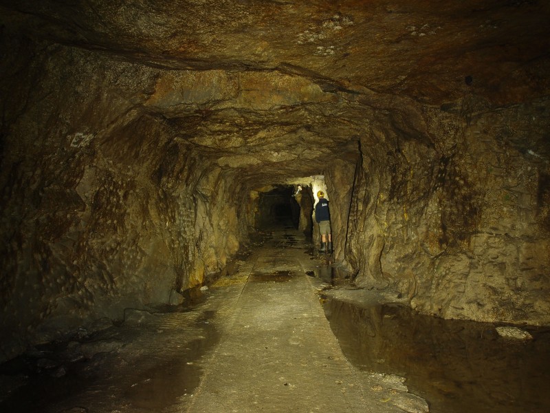 P8121419.JPG - One of the many crosscuts.