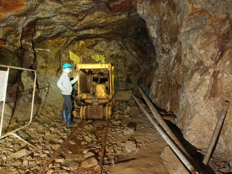 P8121427.JPG - Rocker Shovel.