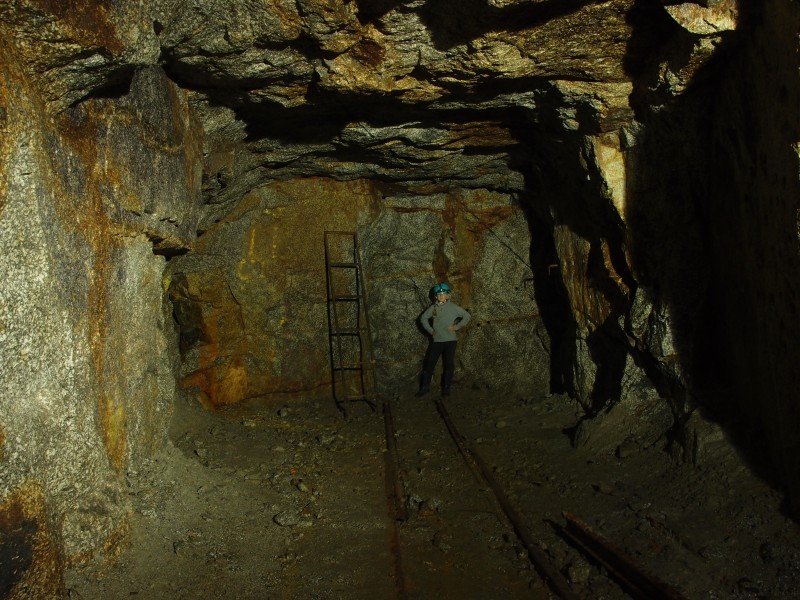 P8121458.JPG - Forehead in sub level.