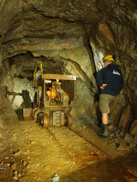 P8121461.JPG - Rocker shovel.