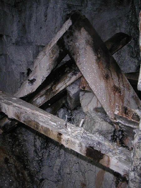 cc_calcificedwood.jpg - Calcified wood, brilliant white.