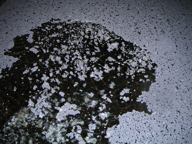 cc_horselevel_watercalcite3.jpg - A closer look at the crystals, when disturbed they sink to the bottom. The crystals form very quickly and in a week or so will be back.