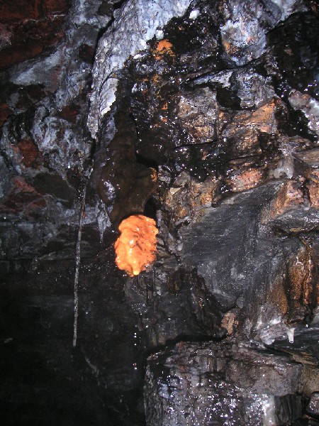 cc_ironformation.jpg - Formation.