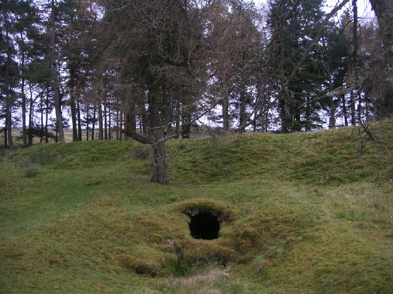 cc_low_secondaryadit_1.jpg - Another view of the Caplecleugh Low Level secondary adit.