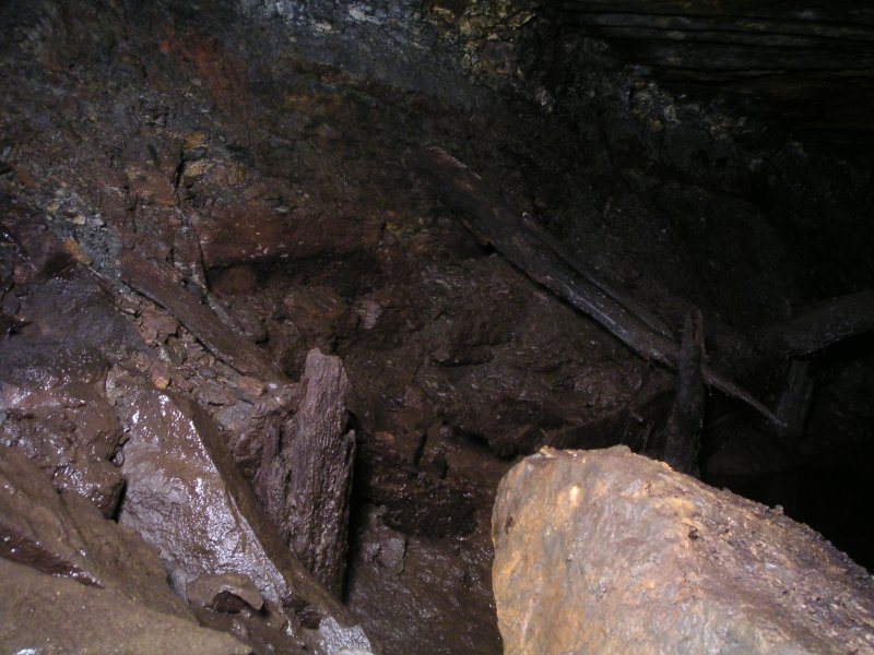 ccf_justinsidearching.jpg - Just past the arching into the level. It felt a bit like a mangrove swamp, with all the silt and everything glistening.