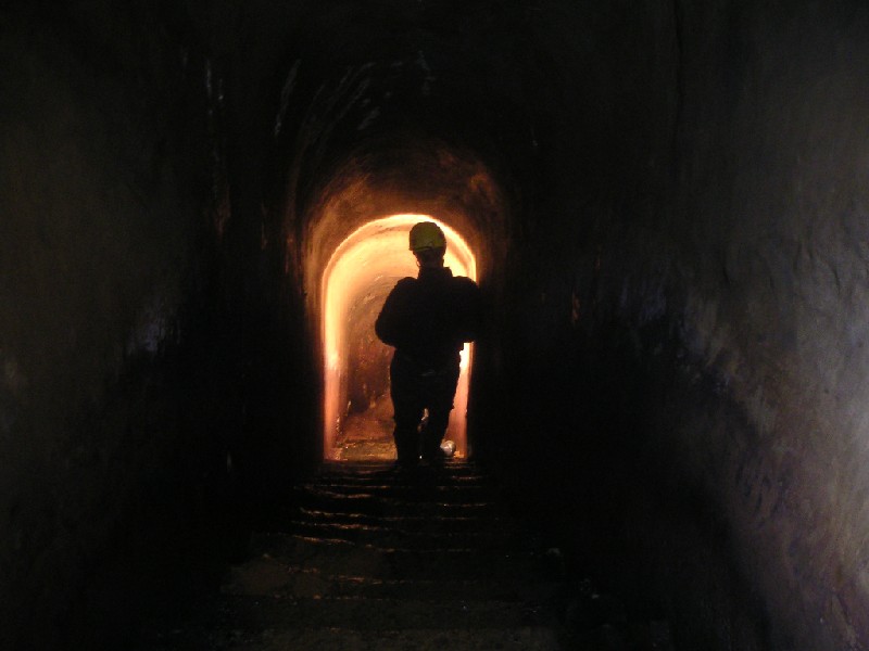 cch_viewdownstairs1.jpg - A different perspective of the steps...