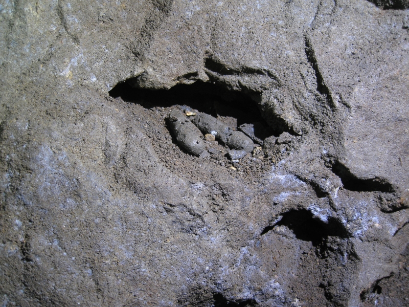 IMG_3083.jpg - Some little pieces of rolled clay stemming - never used, honest govner.