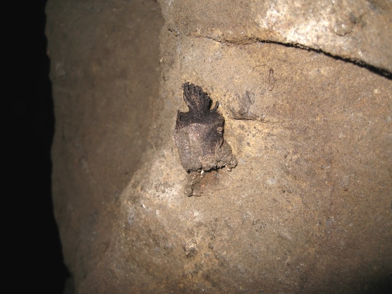 IMG_3086.jpg - The stub of a tallow candle.