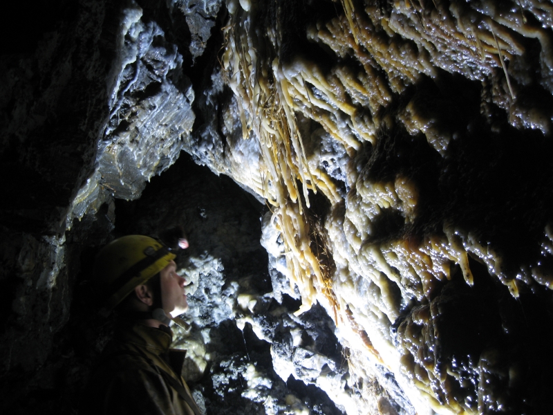 IMG_3090.jpg - Calcification in a chamber from the flats.