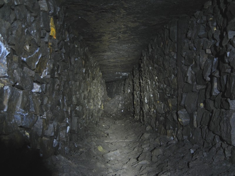 IMG_3108.jpg - Another branch of the high flats.