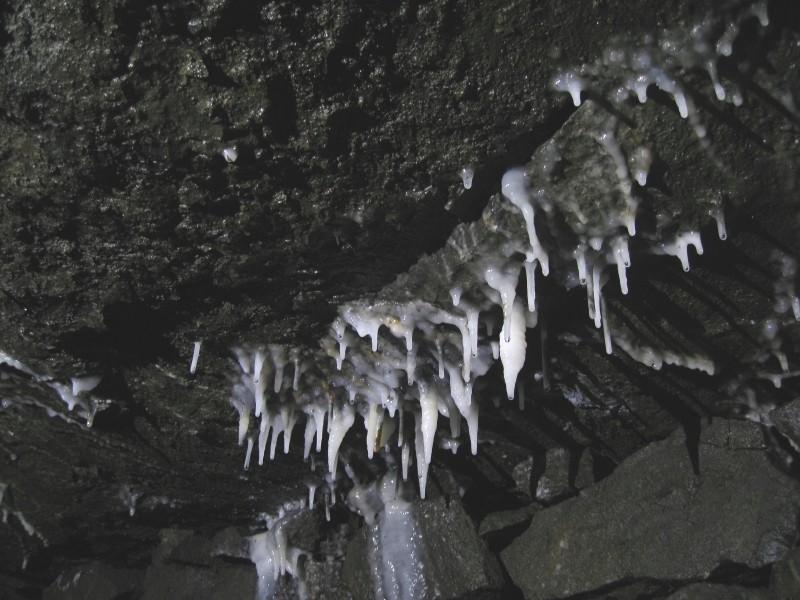 IMG_3135.jpg - Calcite formations hanging on the roof.