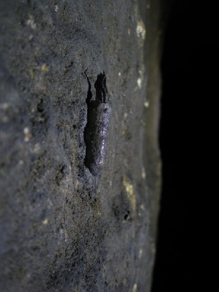 Img_3403.jpg - Tallow candle stuck to the wall.
