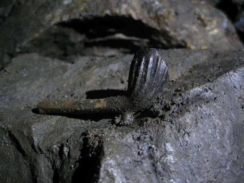 Img_3419.jpg - A nice little clay pipe, missed this eh?