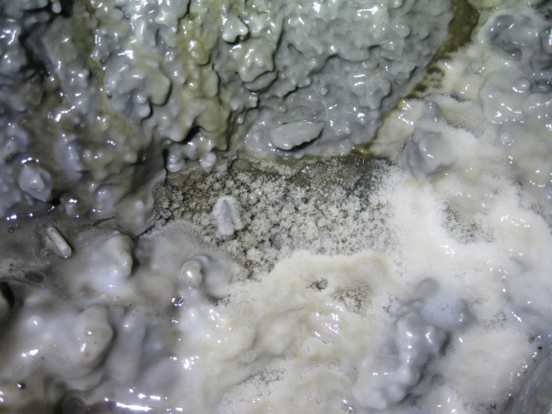 Img_3447.jpg - Crystals growing in a pool.