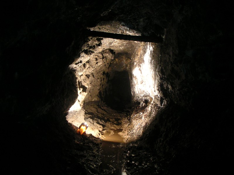 horselevel.jpg - Carr's Horse Level looking towards the Show Mine.