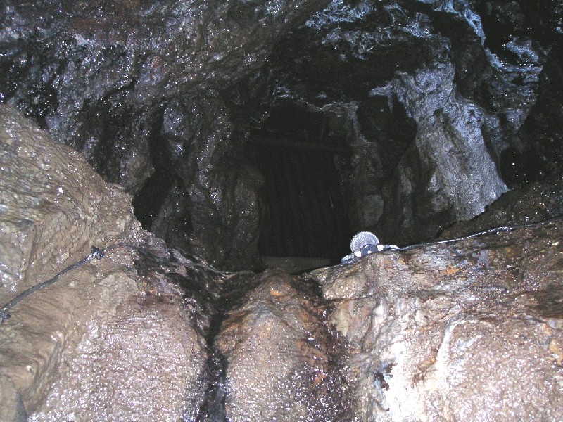 cl_rise.jpg - A rise into a working above, with calcite flow. You can just about see the gated continuation of the rise in the dark.