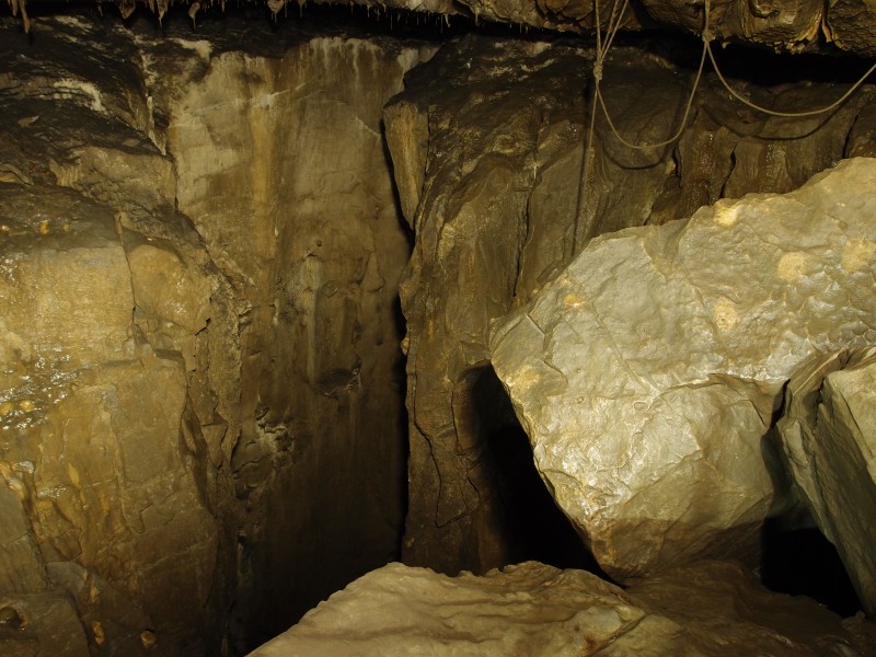 P8241418.JPG - The Big Pitch.