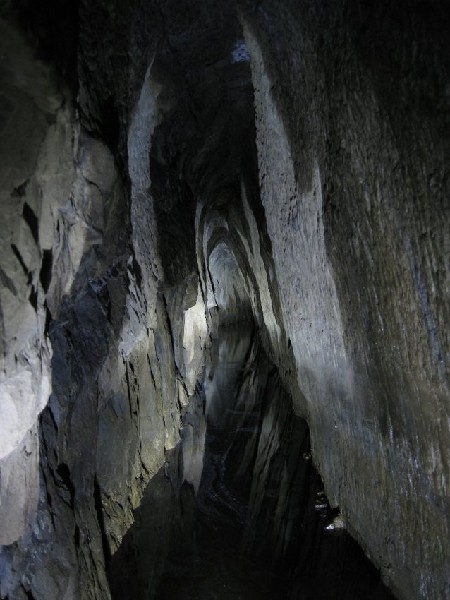 18_cl_drive_in2.jpg - View down the drive in on the way out.